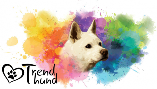 Watercolour-Style "Korean Jindo Dog" - Tasse